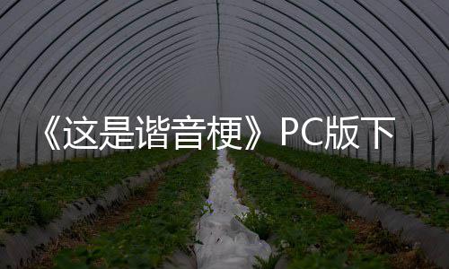 C版下载下载音梗是谐这正版分流