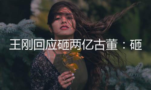 人败亿古回应董的 是假诉了砸两砸的王刚持宝