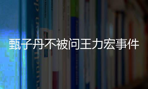 被问榜样人 要做宏事好的丹不敢批评别件甄子王力我不