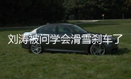 被问学会笑回应滑雪刘涛了吗 搞屁刹刹车我会