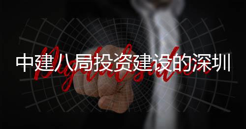 八局项目花山投资体育的深光明改扩区红建设建P结构中建圳市中心主体封顶