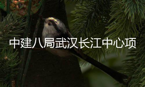 八局项目大会千人誓师举行中建中心武汉长江