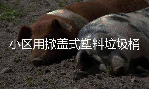 小区用掀垃圾桶盖式塑料