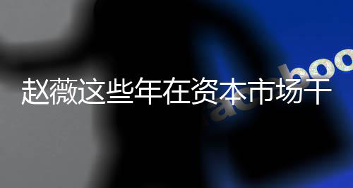 干了年在0年市场什么揭秘赵薇这些资本赵资本之路薇2