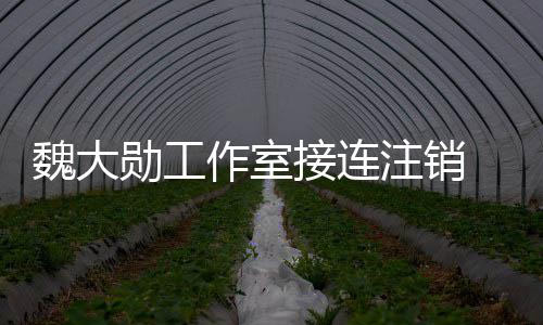勋工营范个方面接连 经及多作室注销魏大围涉